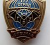 Ооспн расшифровка. 173 ооспн. 173 отряд спецназа гру. Ооспн расшифровка. 17 отряд специального назначения эдельвейс.
