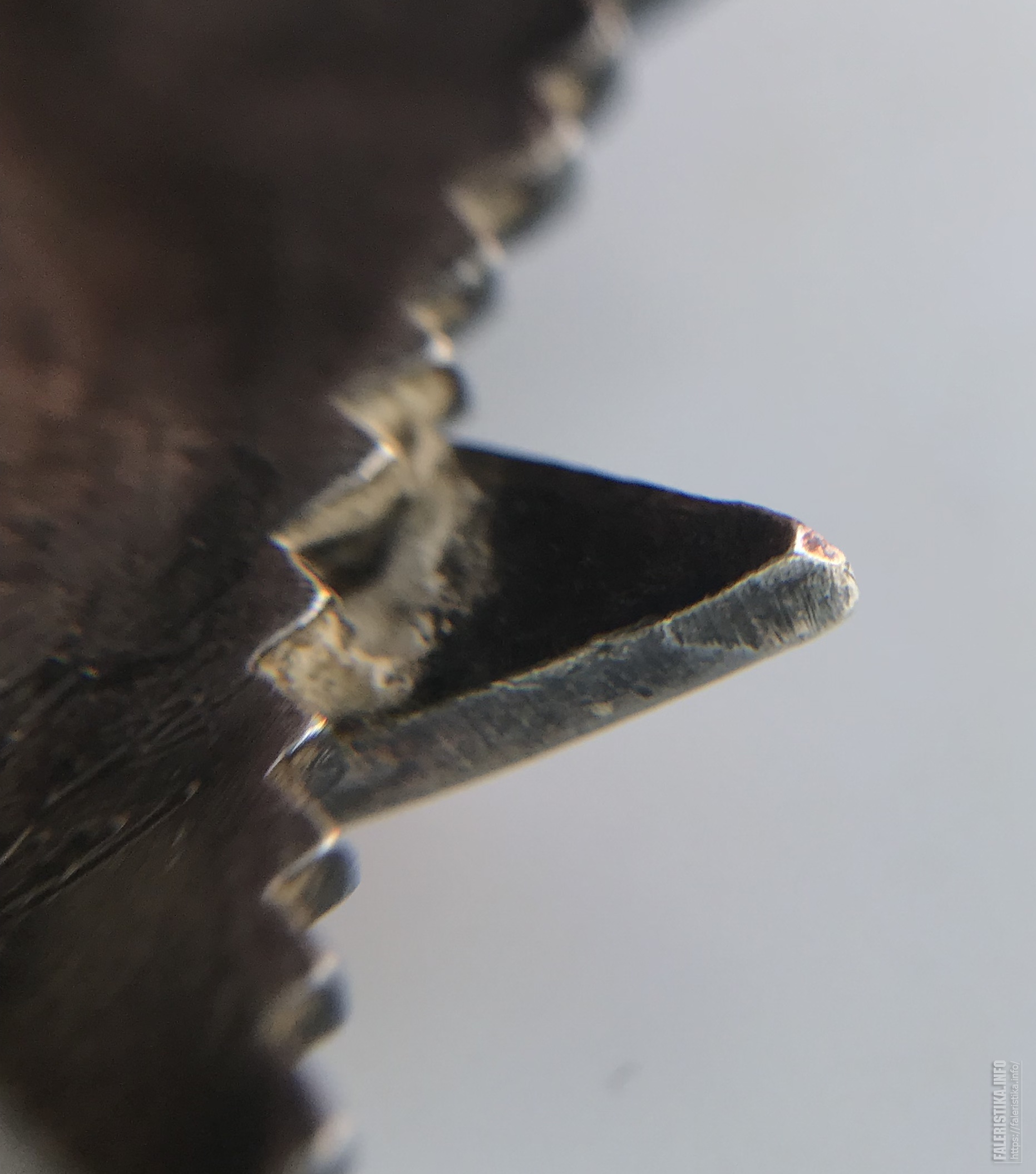 B8CC7B42-9E5F-4AAE-A832-BF813F2E68C9.jpg