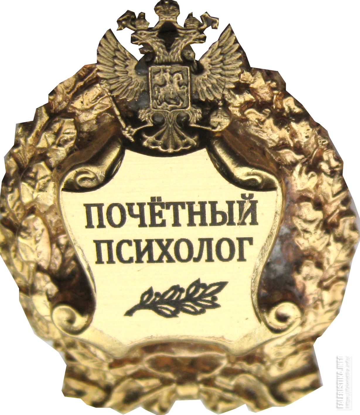 IMG5840.jpg