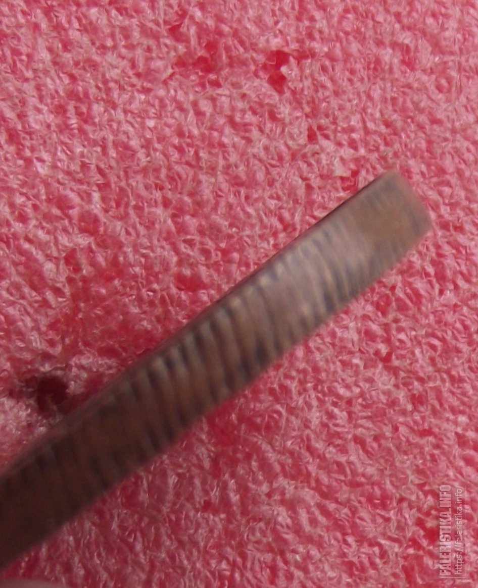 DSCF1225.jpg