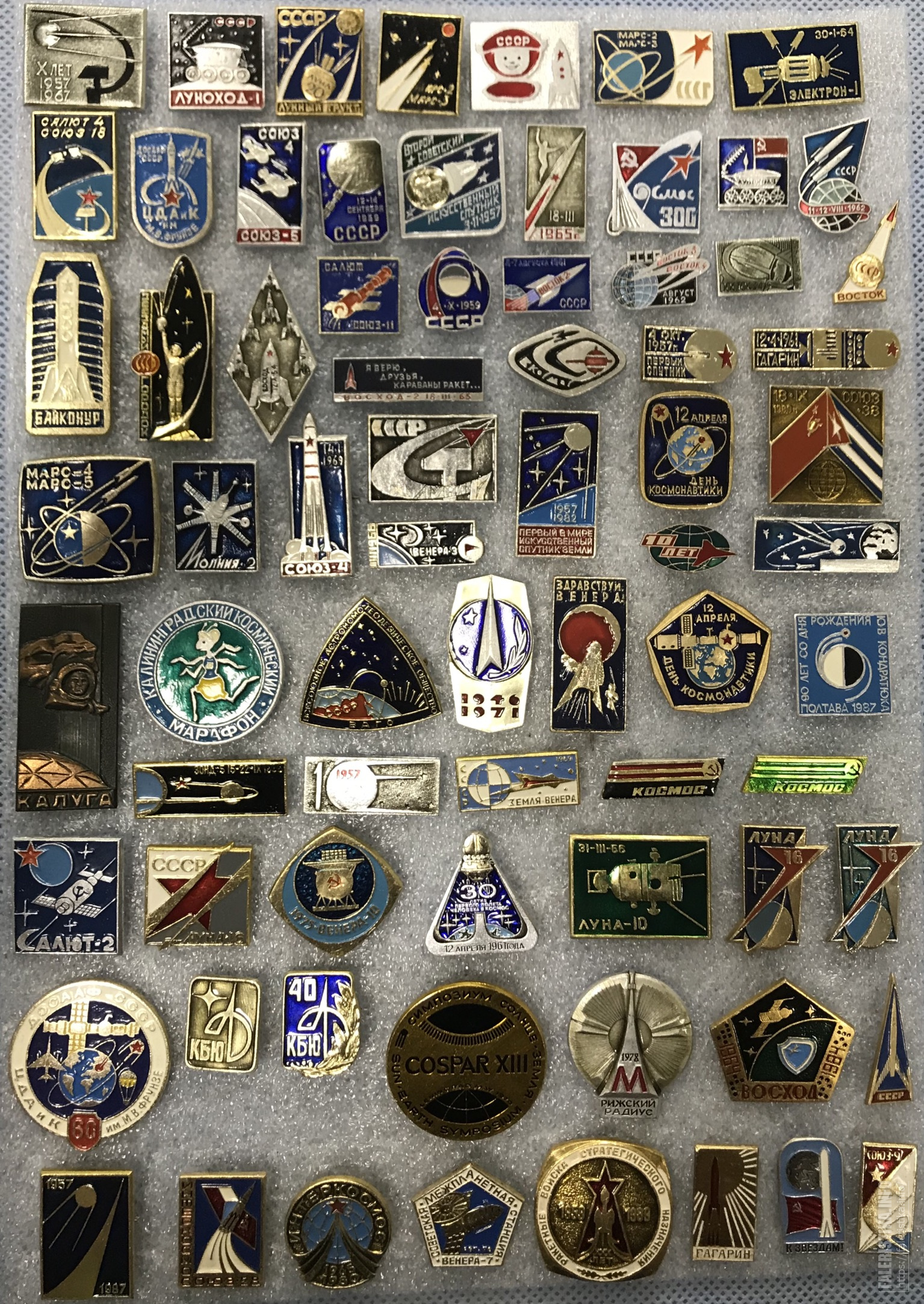 538C967E-74C3-4601-A9E8-F0FFE919BFB5.jpg
