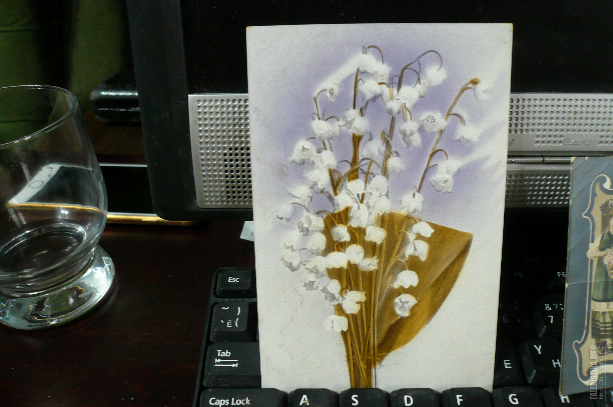 P1100279.jpg