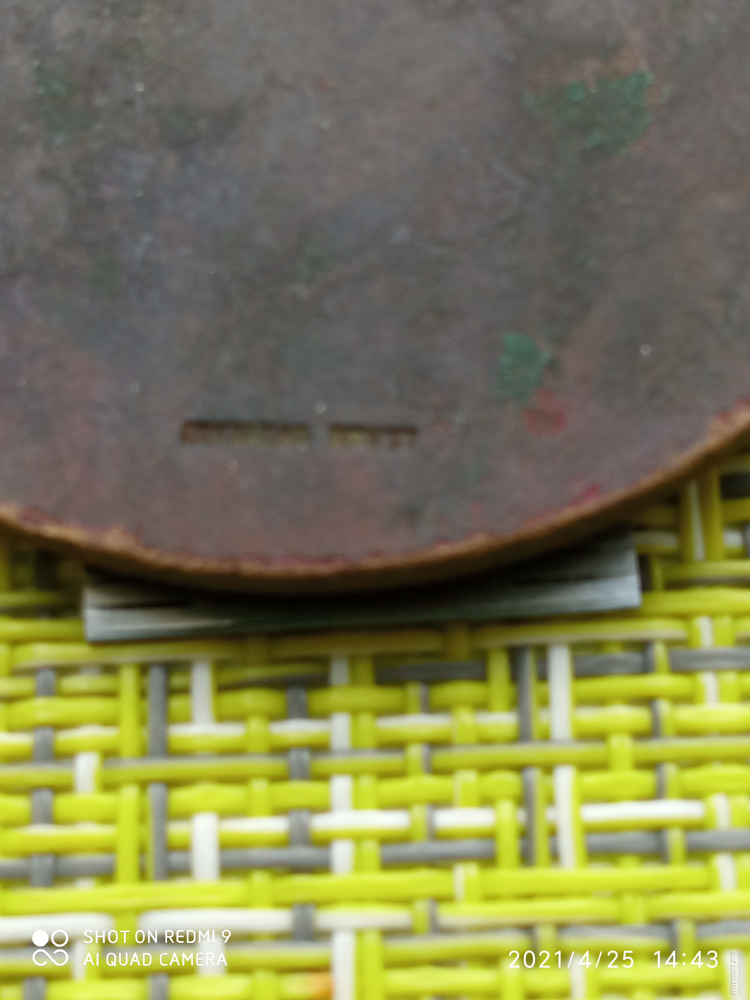 IMG20210425144351.jpg