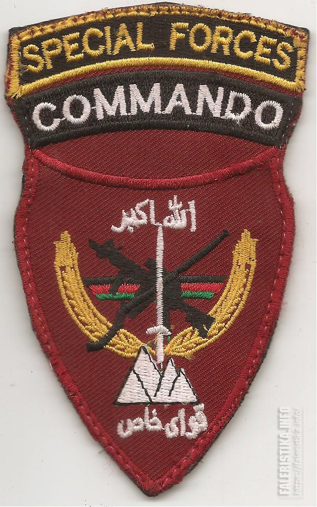 Нарукавный_знак_специальных_сил_Афганской_национальной_армии.jpg