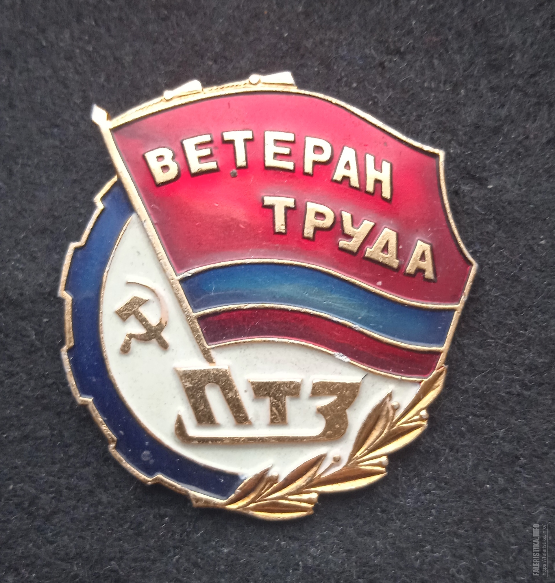 птз_пр_ветера_труда_1.jpg