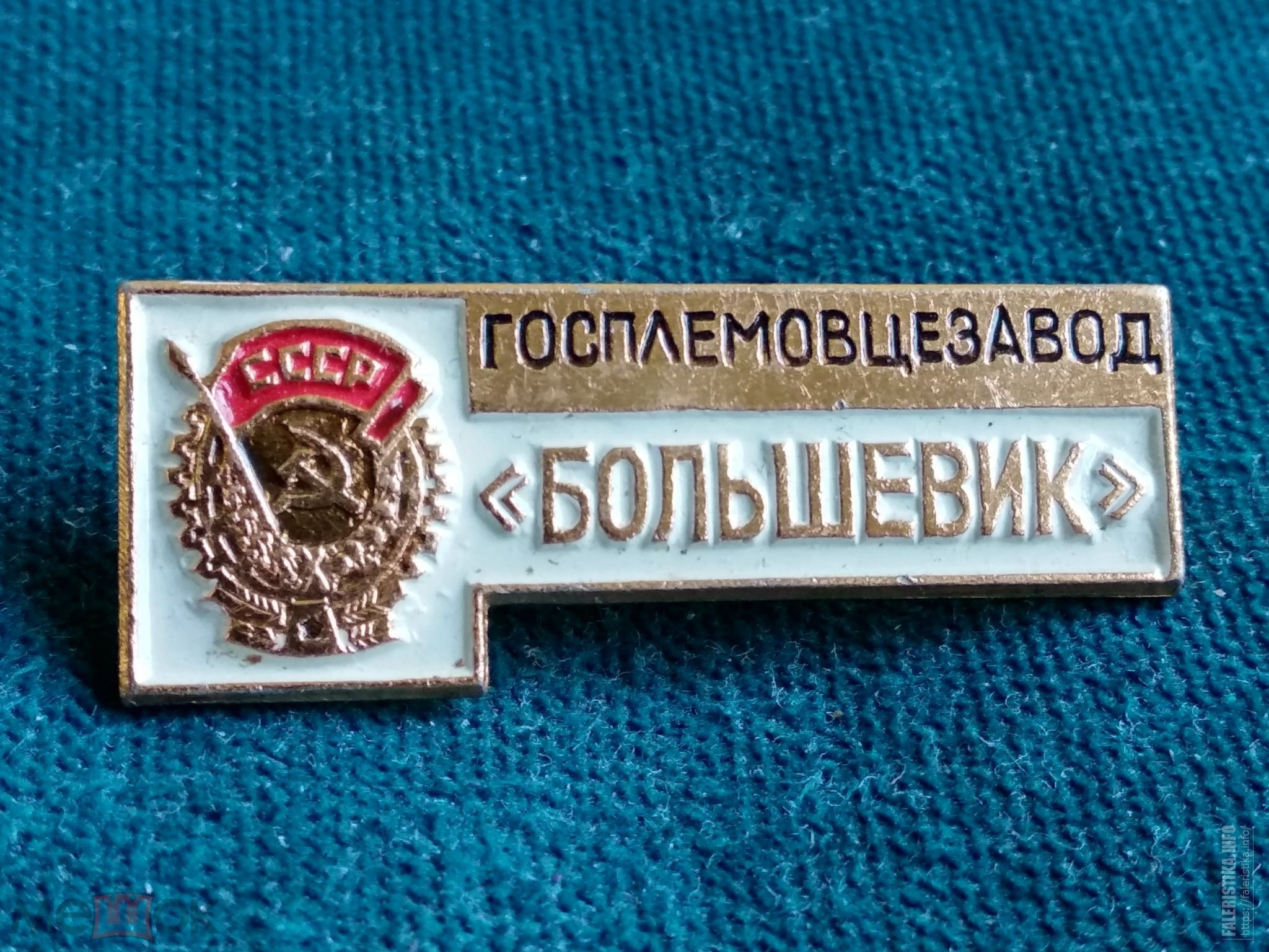 2469261460.jpg