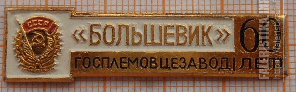 P1011720.jpg