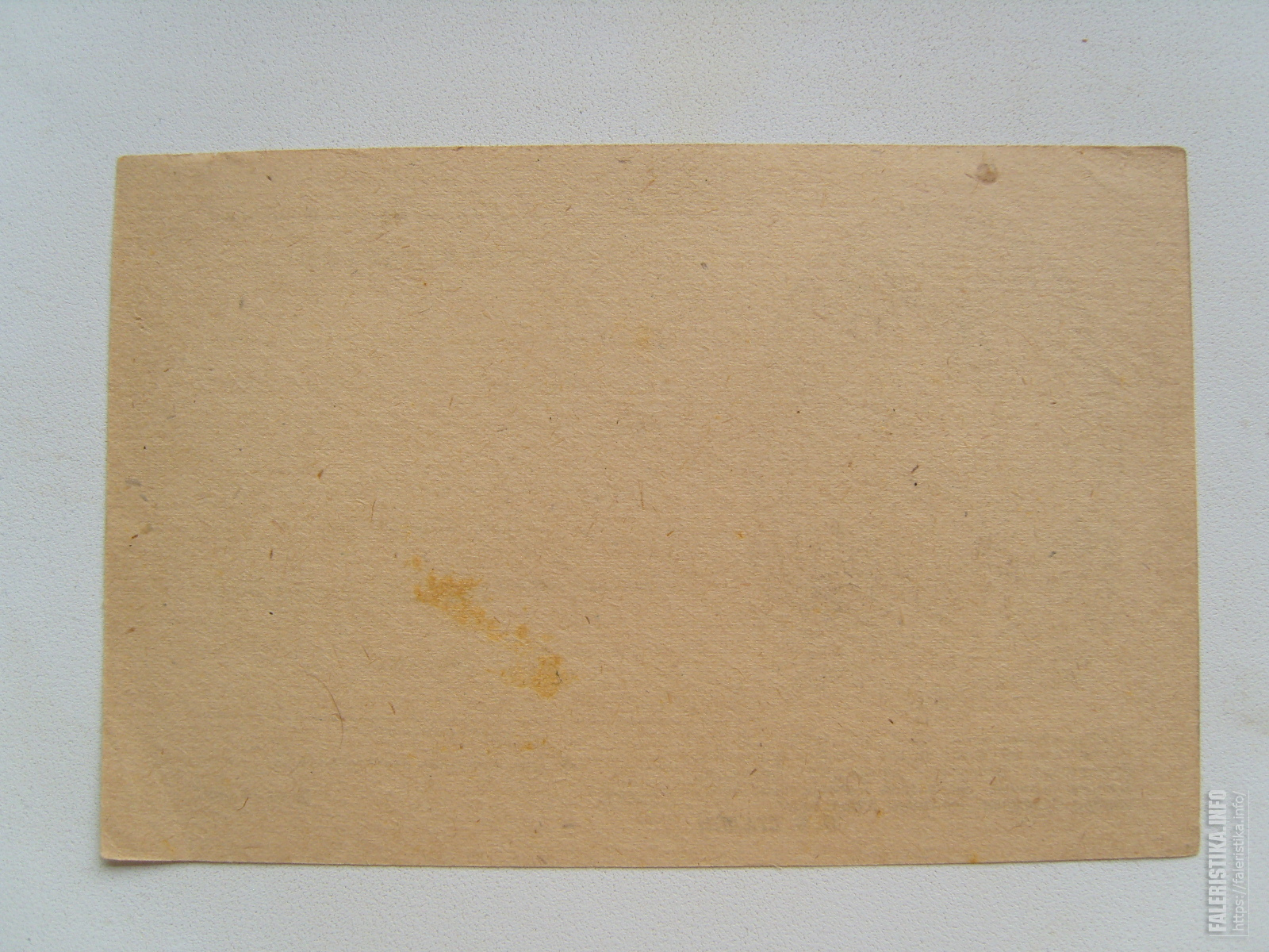 S1035969.jpg