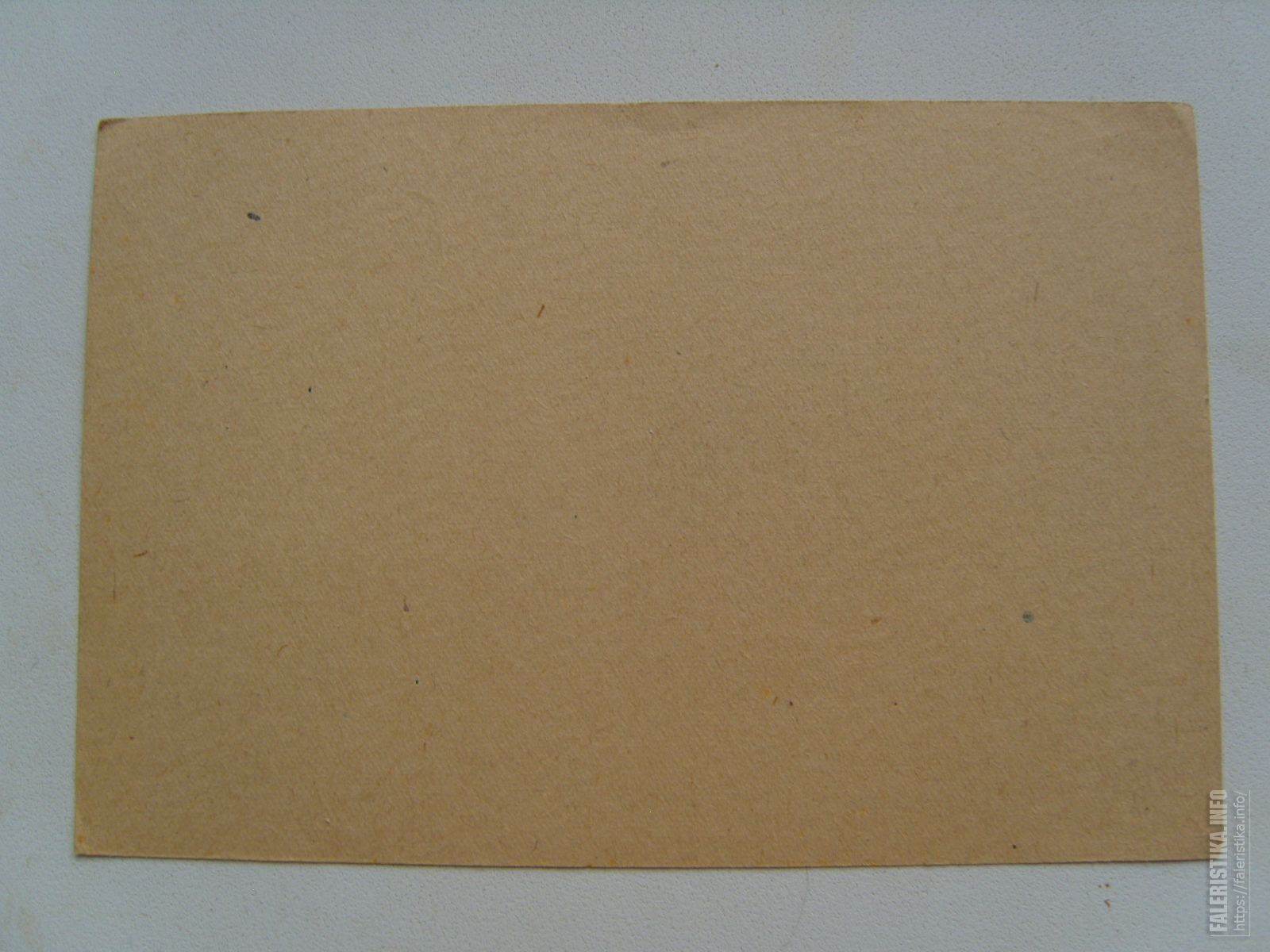 S1035971.jpg