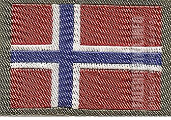 Идентификационный_флаг_Королевства_Норвегия_для_военнослужащих.jpg