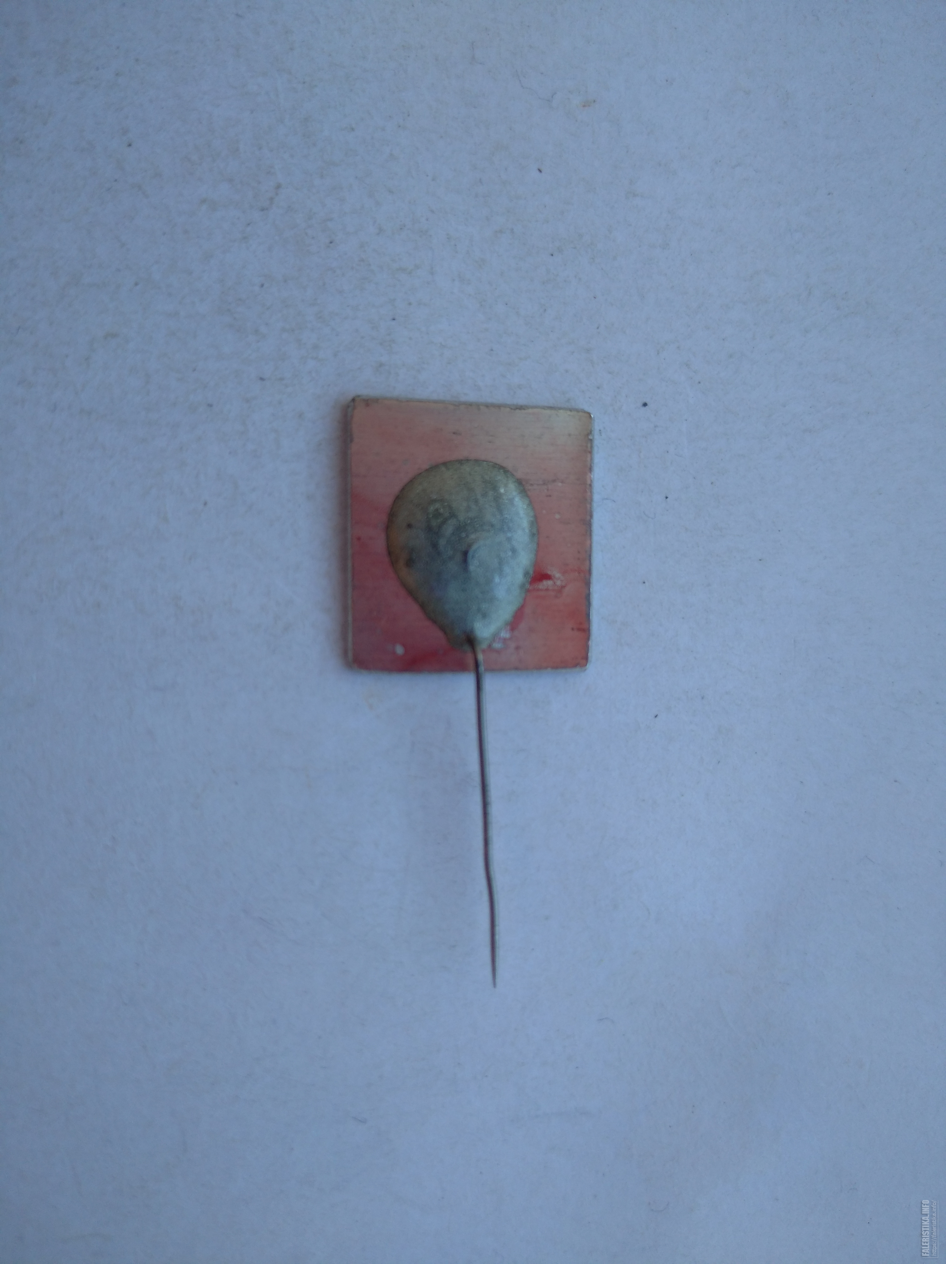 IMG202106041723211.jpg