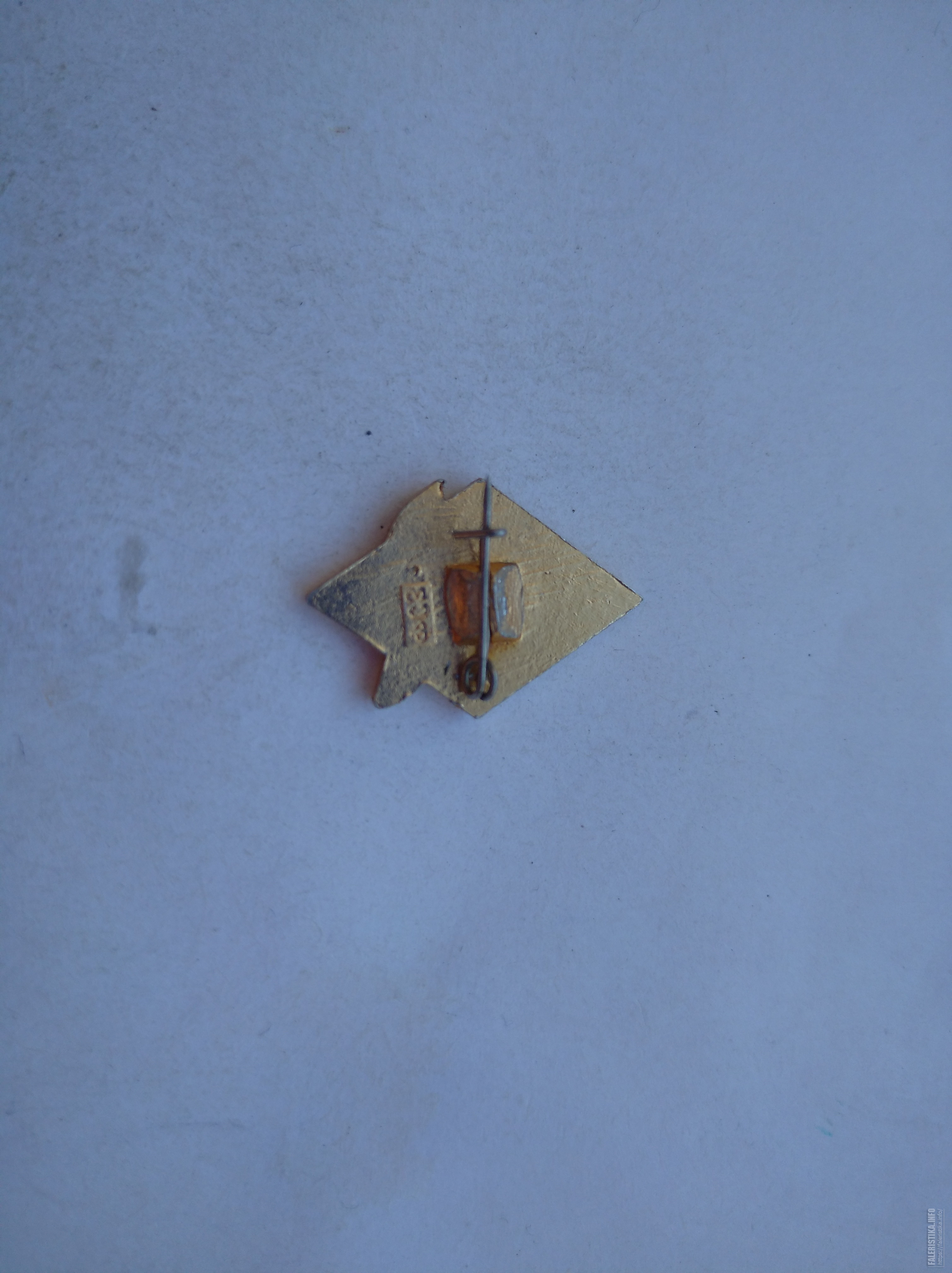 IMG20210604172603.jpg