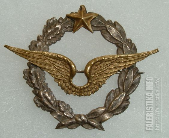 pre_1916_unofficial_private_purchase_French_Pilots_badge.jpg