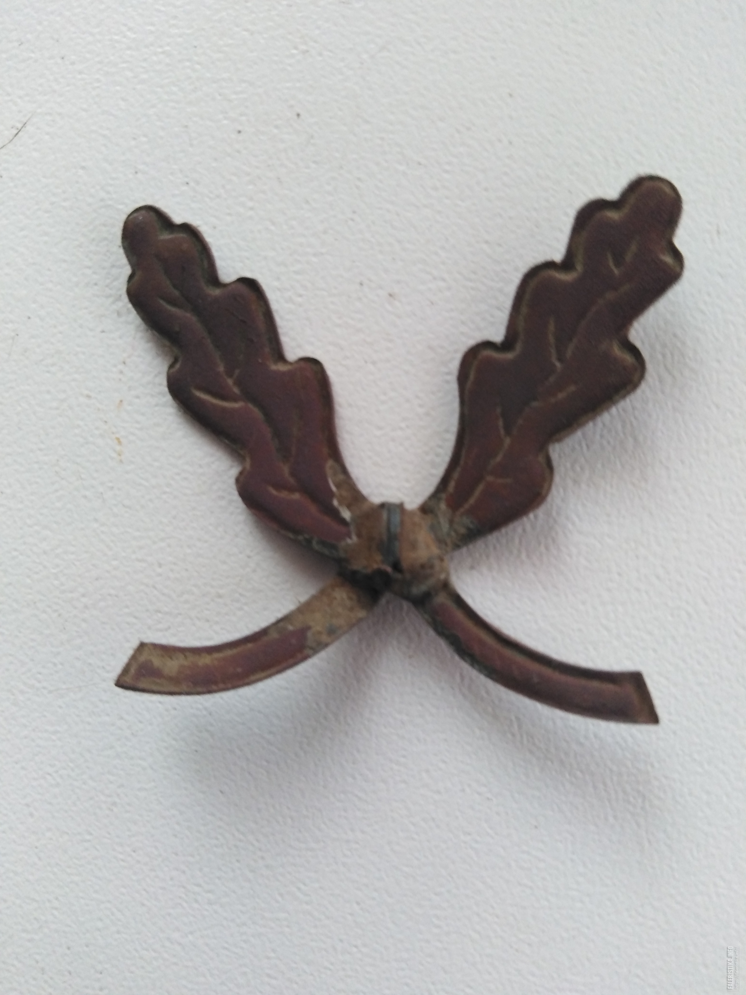 IMG20220404181613.jpg