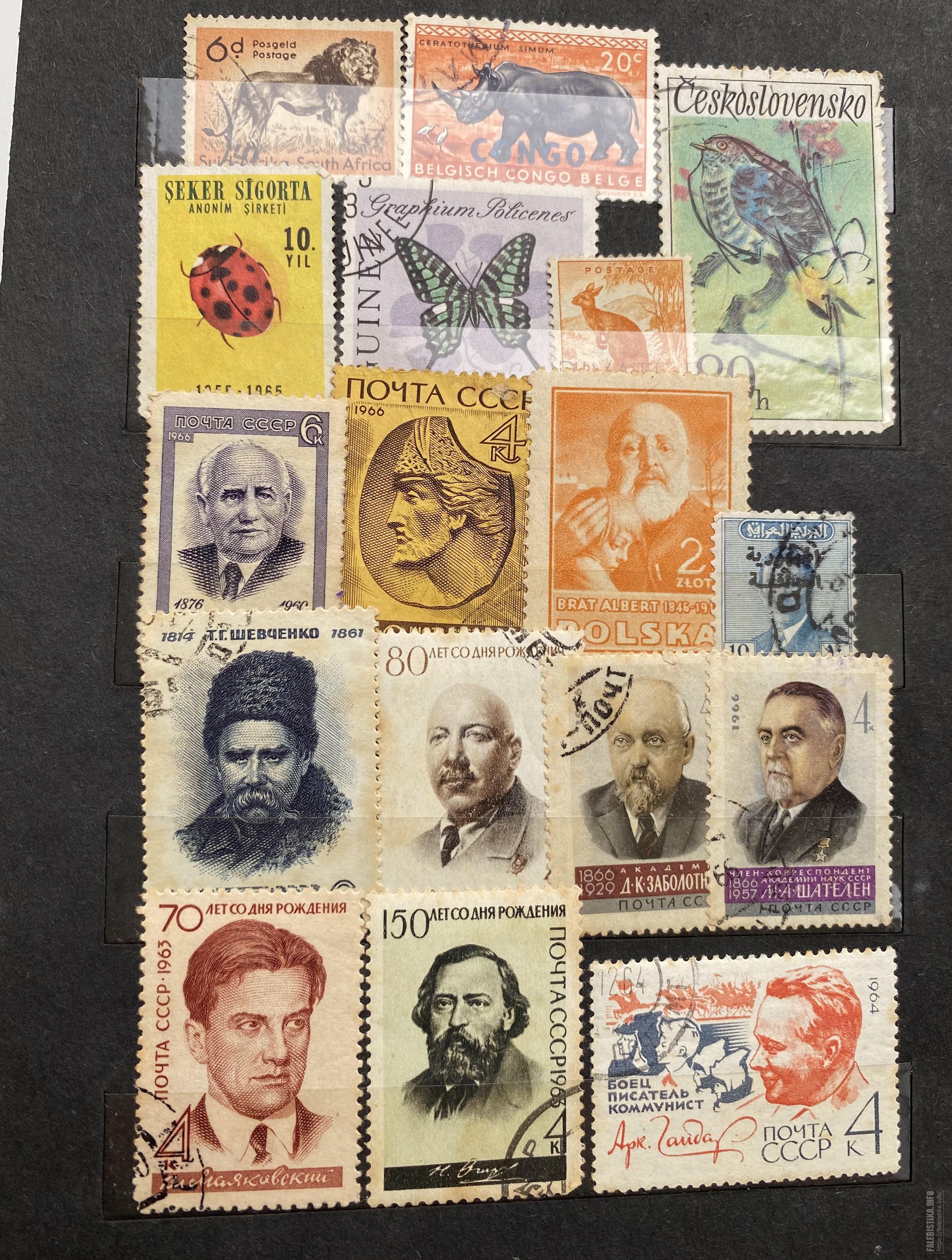 5DDD1E03-F484-4B64-B065-E8195C044358.jpg