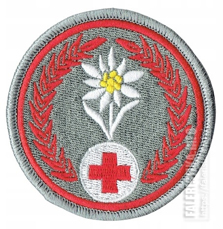 Нарукавный_знак_группы_медицинского_обеспечения_21-й_бригады_стрелков_Подхолянских_Войска_Польского.jpg