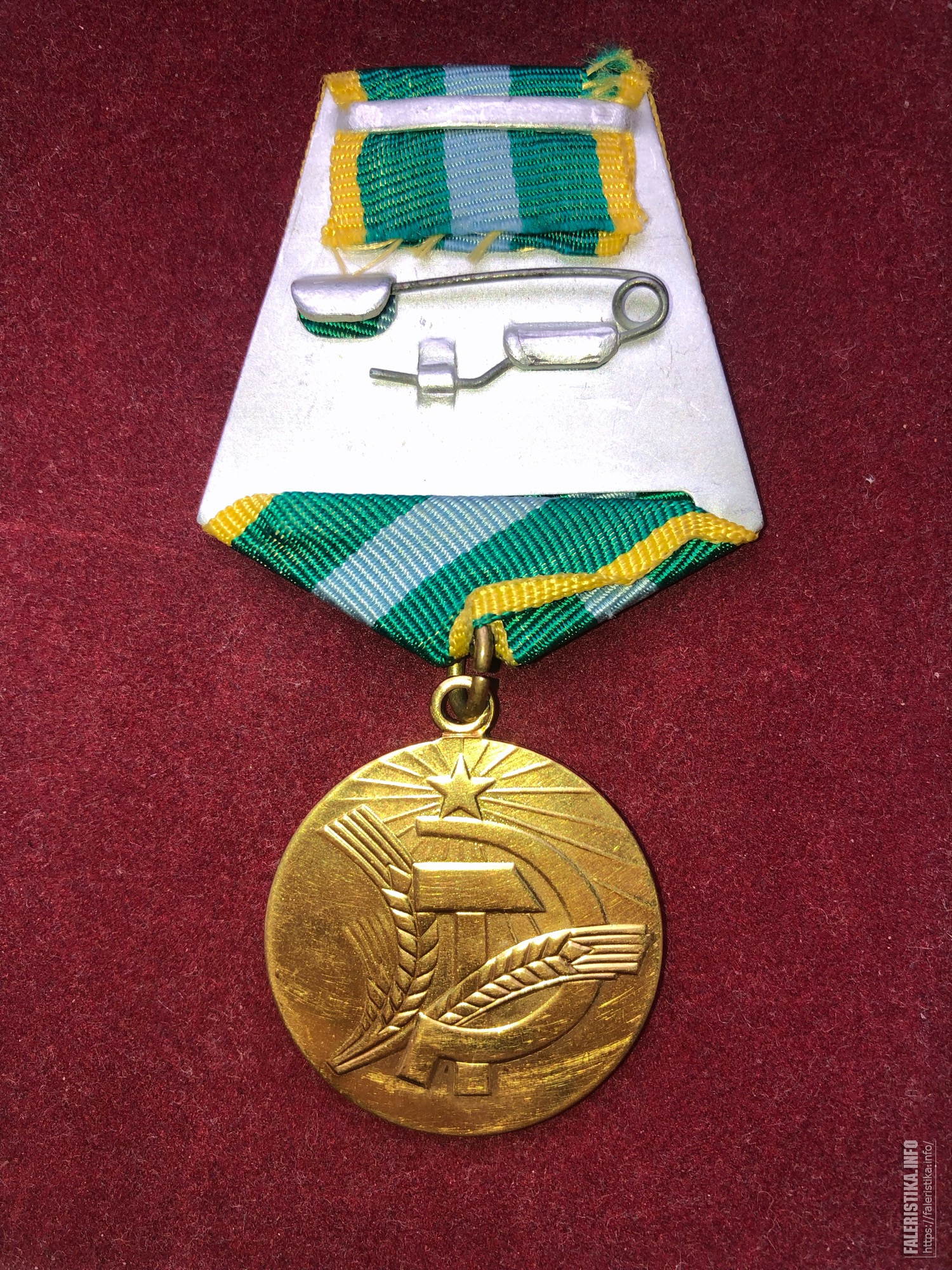 AB656D31-AC6C-46BE-B59F-8FB1F23FD449.jpg