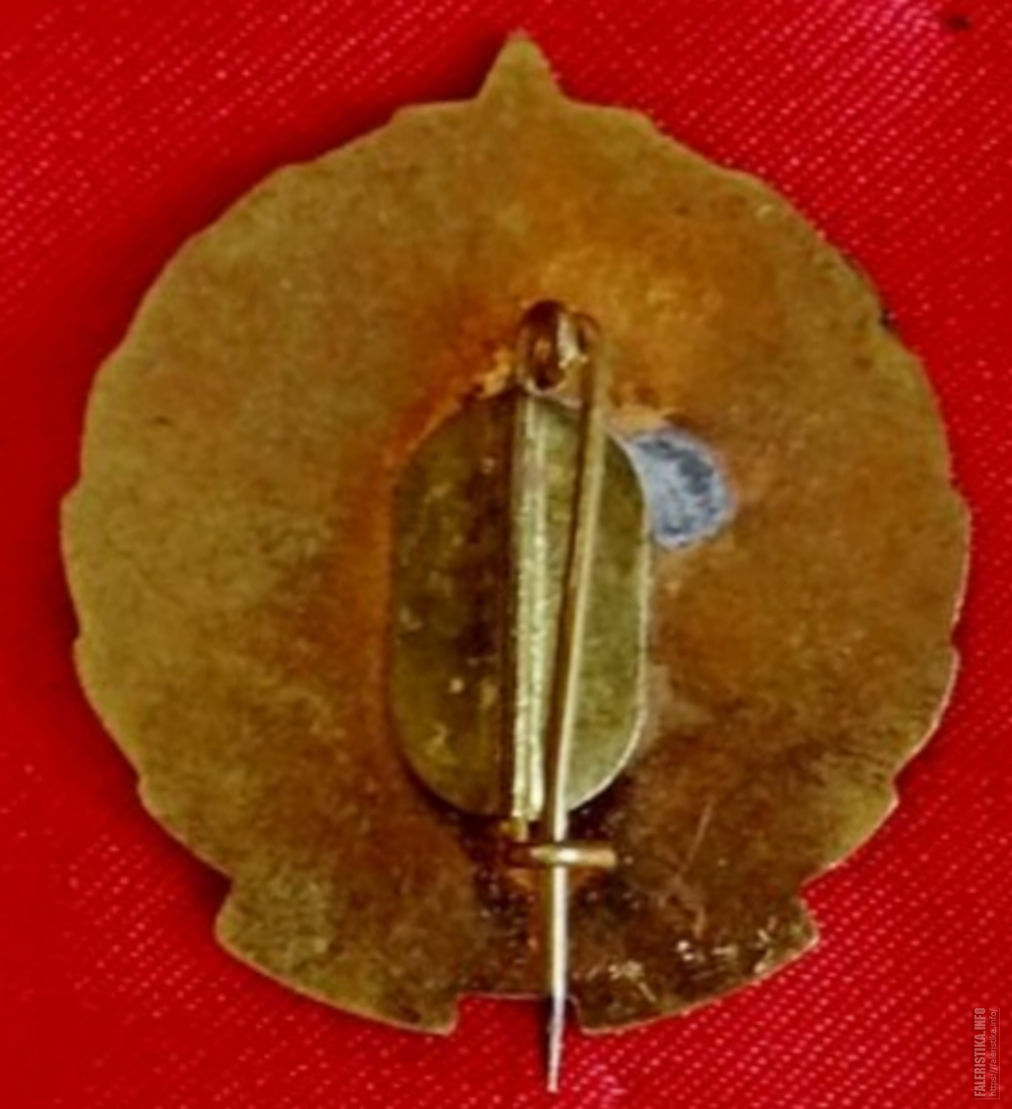 2919394981jpg_1.jpg