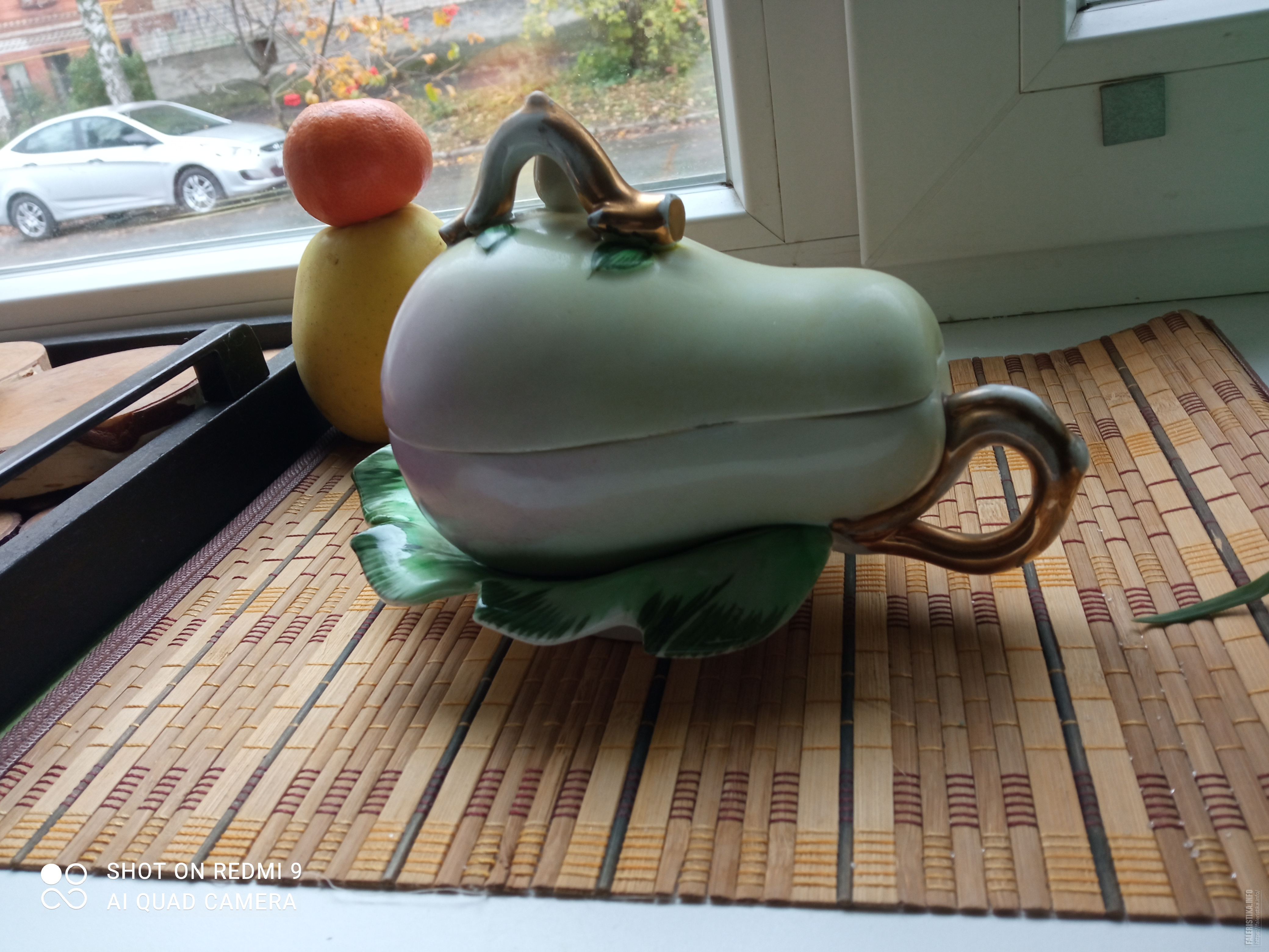 IMG20231010081542qbkd0.jpg