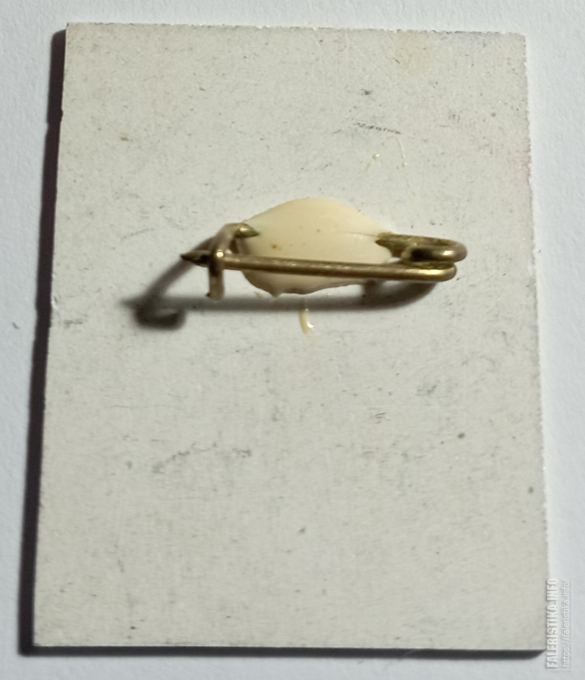 IMG20231111101347.jpg