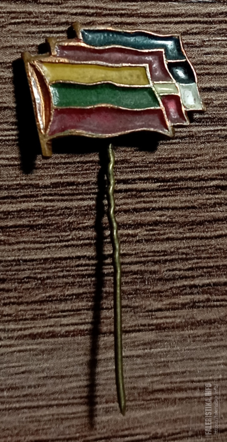 IMG20240202184659.jpg