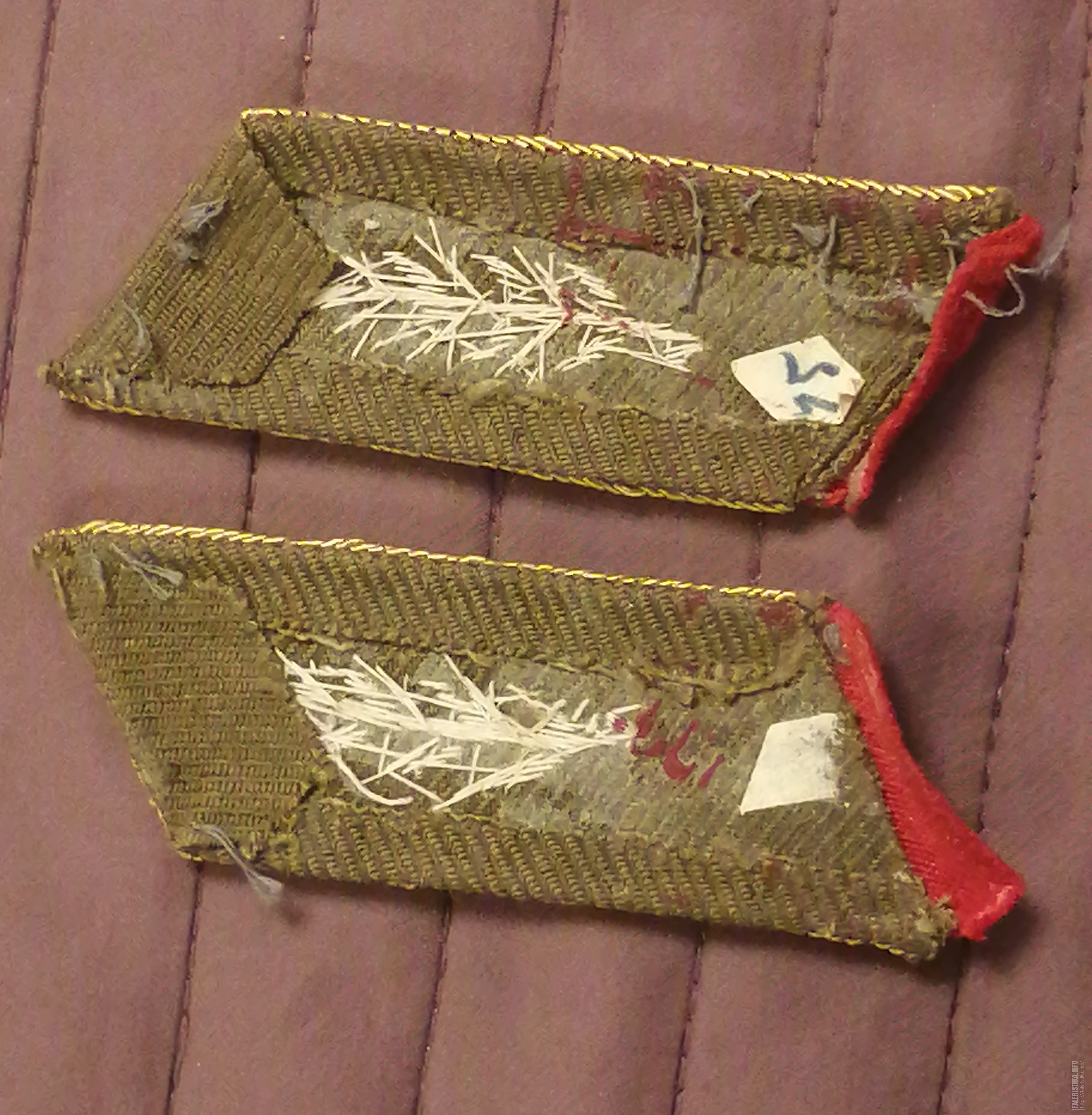 IMG20240202194541.jpg