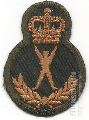 Нарукавный_знак_инструктора_по_физической_культуре_и_отдыху_Вооруженных_сил_Канады_4-го_уровня.jpg