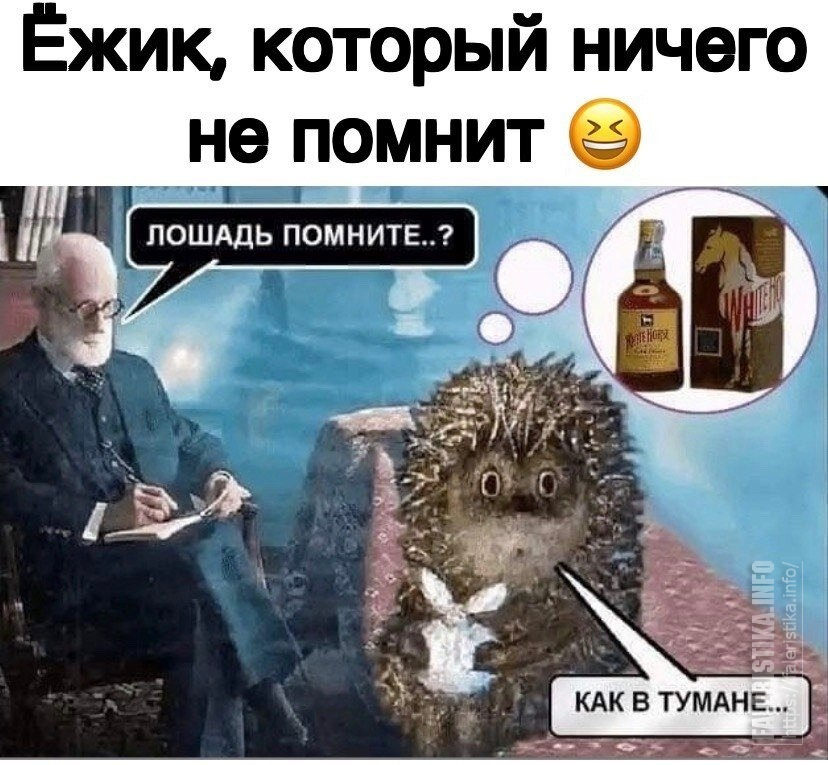 ёжик_в_туманеB3SeO.jpg