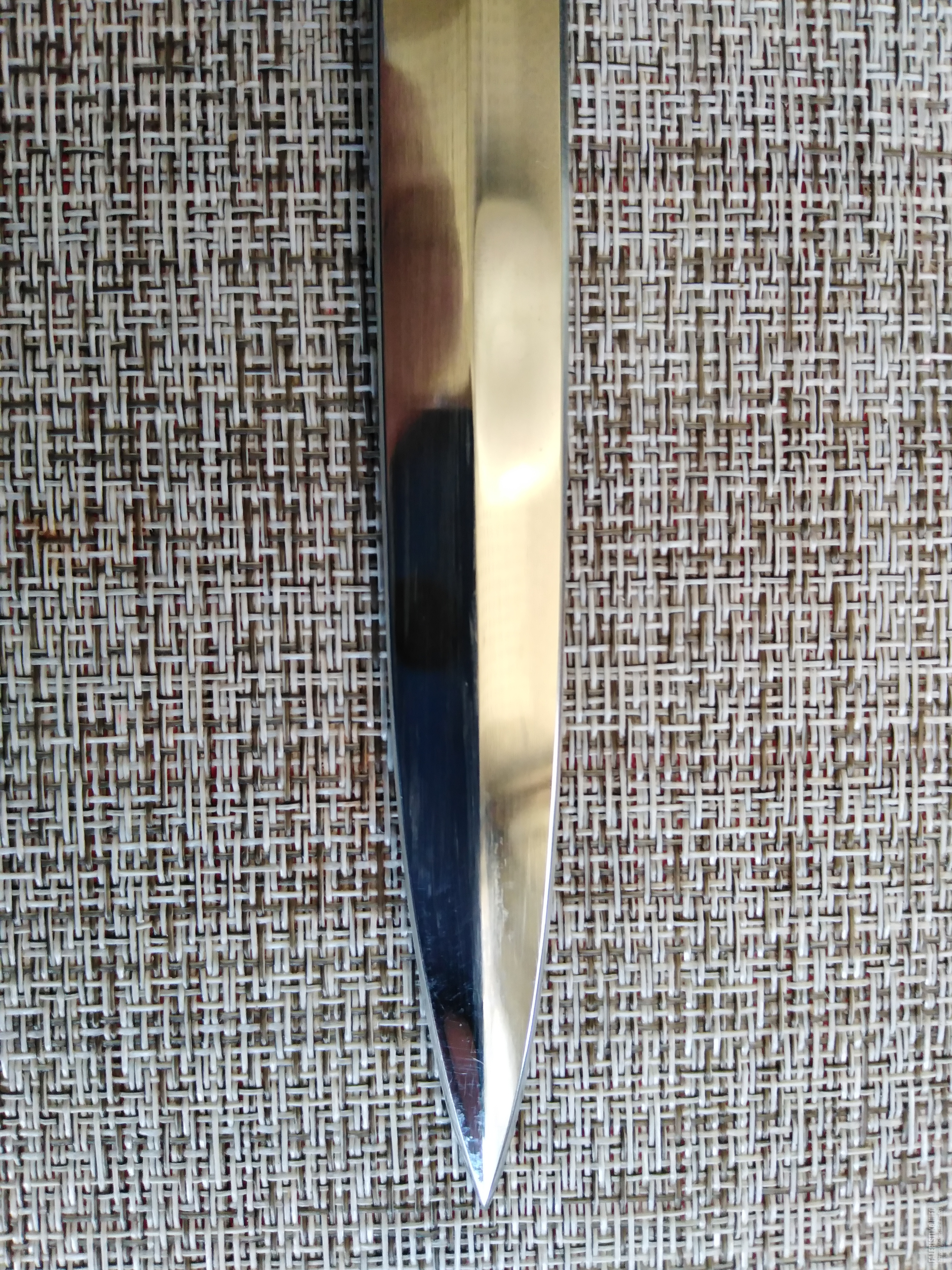 IMG20240606095955.jpg