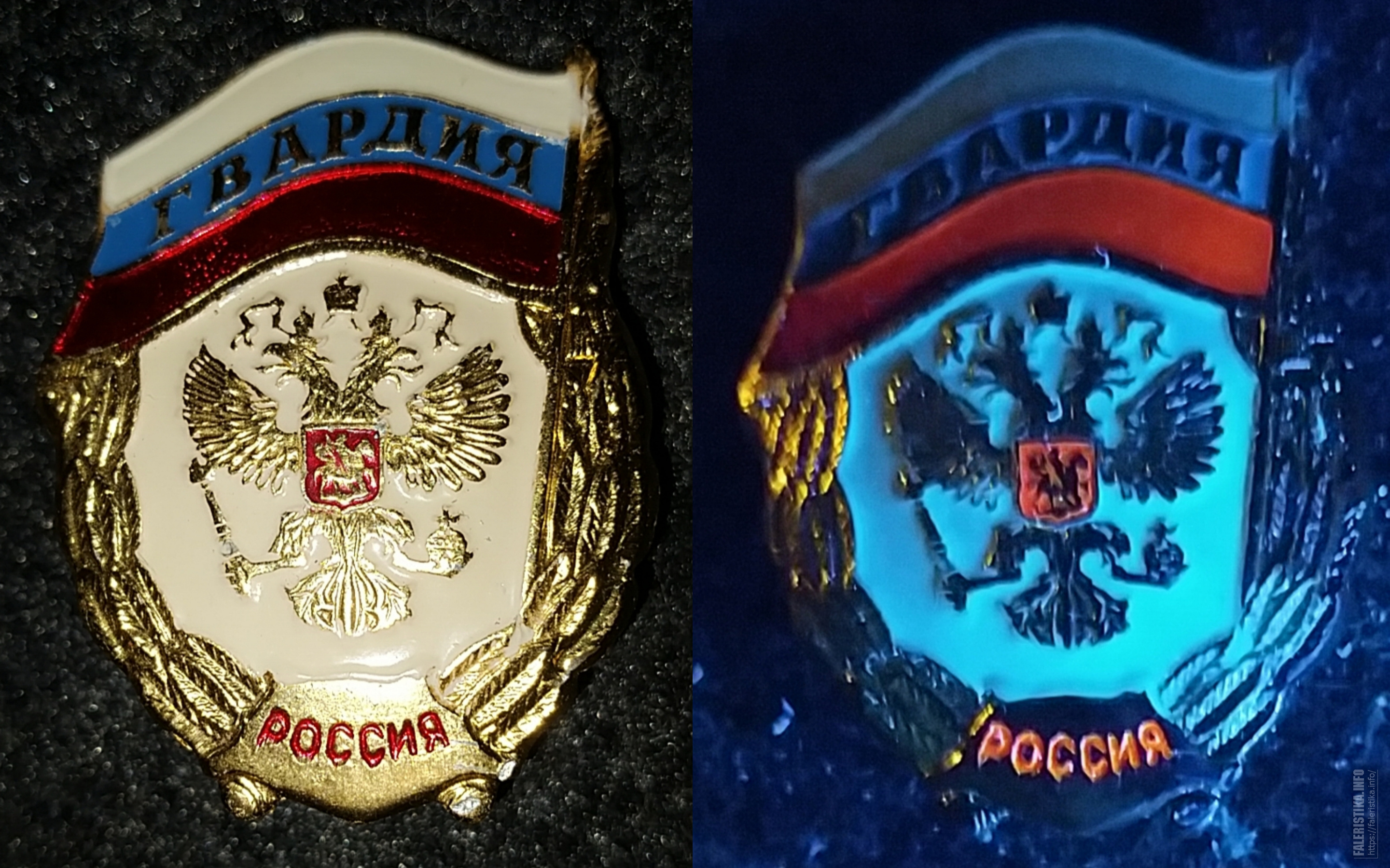 mir20241010183702.jpg