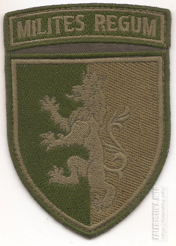 Нарукавный_знак_24-ой_Львовской_механизированной_бригады_имени_короля_Данила_ВС_Украины.jpg