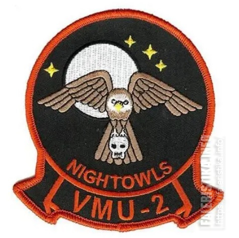 Нарукавный_знак_2-й_учебной_эскадрильи_морских_беспилотных_летательных_аппаратов_морской_пехоты_США_«Ночные.jpg