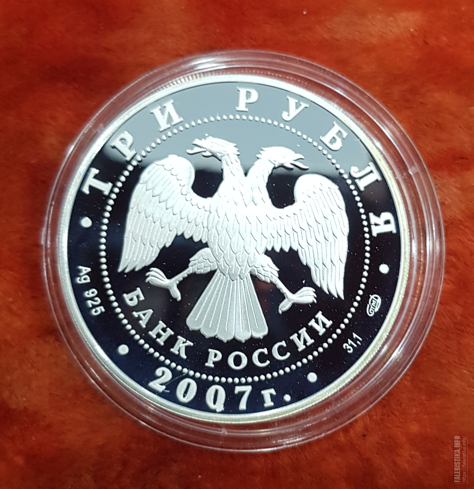 20250302202622.jpg