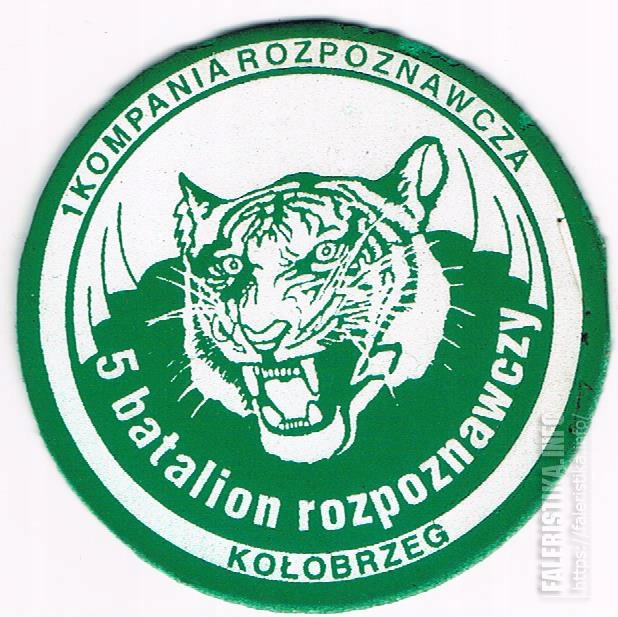 Нарукавный_знак_1-й_разведывательной_роты_5-го_разведывательного_батальона_Войска_Польского_Колобжег.jpg