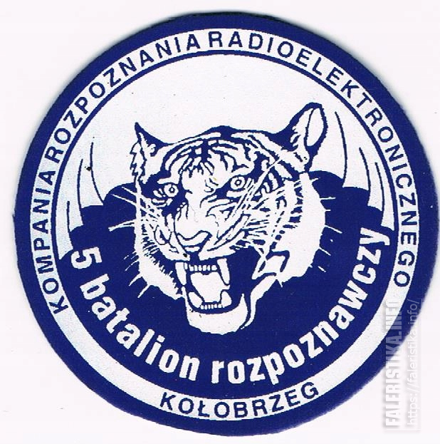 Нарукавный_знак_роты_радиоэлектронной_разведки_5-го_разведывательного_батальона_Войска_Польского_Колобжег.jpg