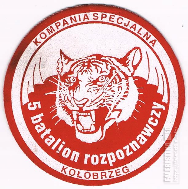 Нарукавный_знак_роты_специального_назначения_5-го_разведывательного_батальона_Войска_Польского_Колобжег.jpg