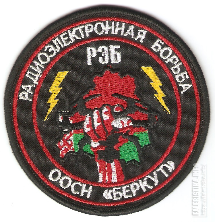 Нарукавный_знак_подразделения_радиоэлектронной_борьбы_отряда_специального_назначения_«Беркут»_ВВ_МВД_Реqu0Y9.jpg